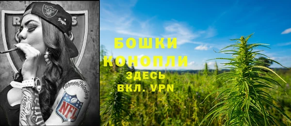 трава Краснослободск