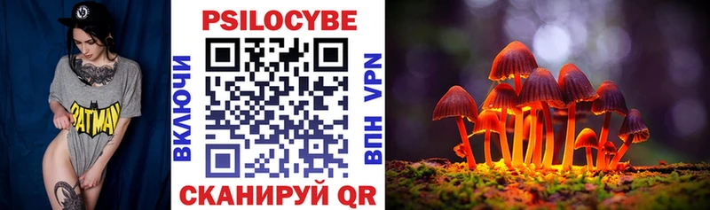 Галлюциногенные грибы Magic Shrooms  Купить  Маркс 